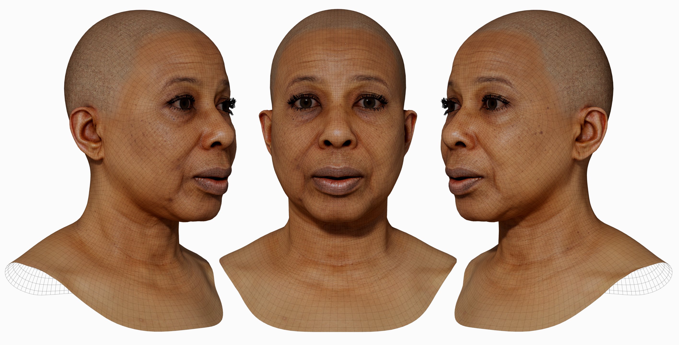 3D head scan model download